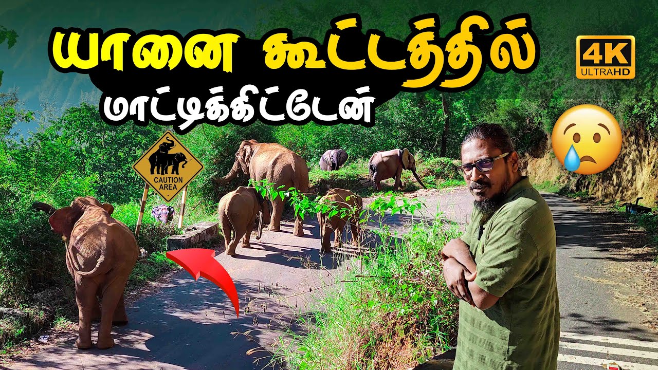 நீலகிரியின் ஆபத்தான பாதை Don’t GO⛔️| Most Dangerous route of Nilgiris ⛔️ 4K