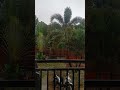 Goodbye storm. 👋 #philippines #expatlife #typhoon