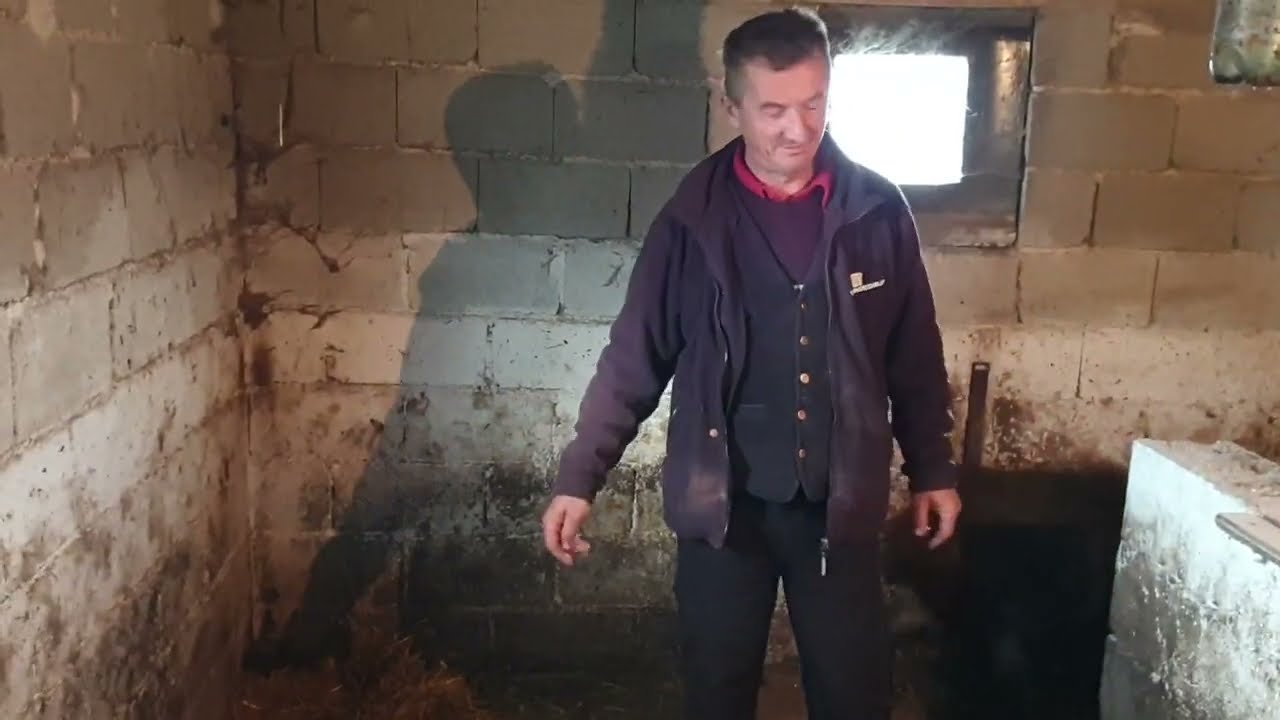 Zeljo Vinka Brnade sin i njegova azra