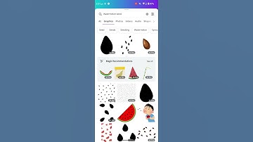 Canva Pro: 10 Tips & Tricks (You Didn