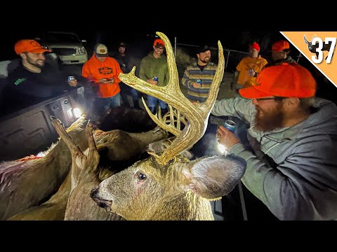 2022 Wisconsin Deer Hunt -  Opening Weekend u0026 Deer Drives