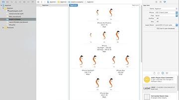 Xcode 8.0.3 Tutorial - Add App Icon in Xcode