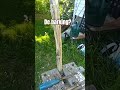 de barking? #woodworking