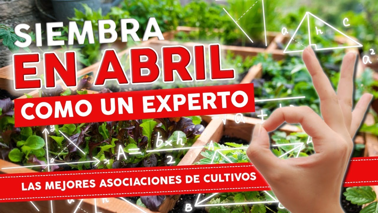 Que SEMBRAR en ABRIL  y las ASOCIACIONES DE CULTIVOS para tu huerta urbana - ESPECIAL 2021