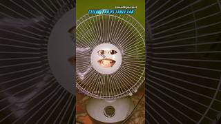 Ceiling Fan Vs Table Fan Funny Video