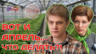 Важные апрельские работы в саду и огороде | Что из овощей еще не поздно посеять на рассаду #семена