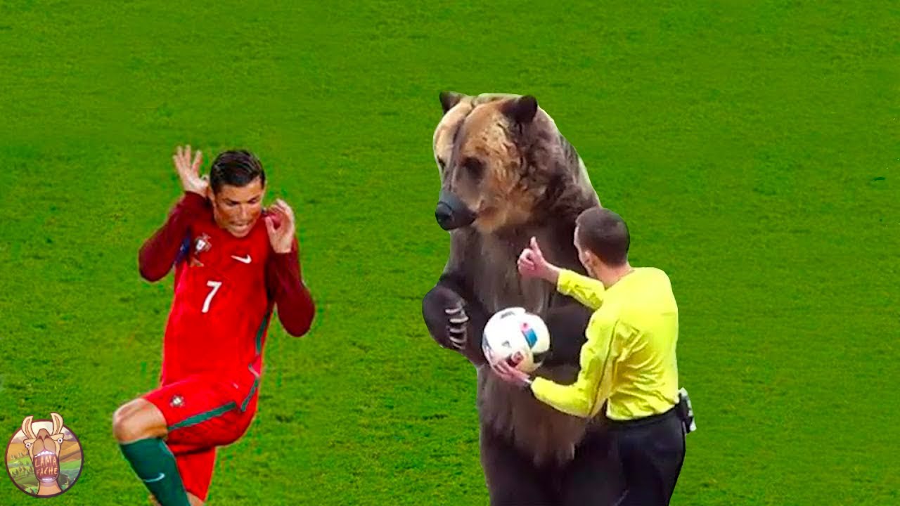 Quand La Nature Arrête Des Matchs De Foot ...