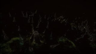 Thargoids