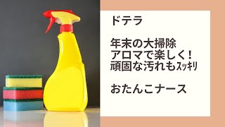 ドテラ アロマを使った大掃除！