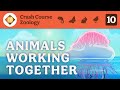 Animals Working Together: Crash Course Zoology #10