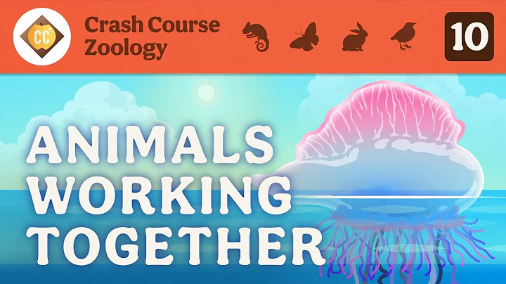 Animals Working Together: Crash Course Zoology #10 - DayDayNews