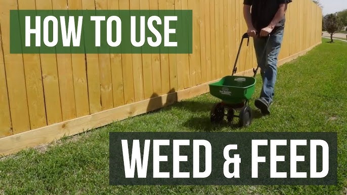 Weed and Feed: The Ultimate Guide to a Healthier Lawn How to Apply Weed and Feed
