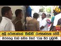 අලි|sin
