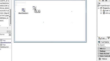 (DEMO) CURSO DE DELPHI AVANZADO USANDO EL CONTROL DBGRID - VIDEO 01
