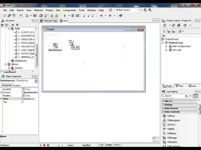 (DEMO) CURSO DE DELPHI AVANZADO USANDO EL CONTROL DBGRID - VIDEO 01