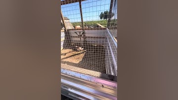 Qaib Thai chicken coop