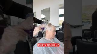 EASY ROOTS TOUCH UP BY VIVYAN HAIR DESIGN! 🏆✨✂️ #haircolor #haircoloring #haircare #greyhair