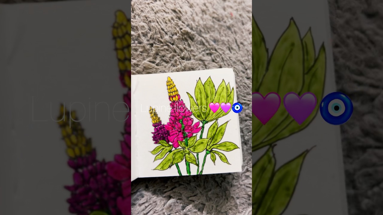 Lupine flowers🪻 