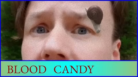 Kyle Walz - Snail [OFFICIAL VIDEO]