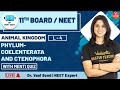 NEET Biology | Animal Kingdom L-4 | Phylum - Coelenterata and Ctenophora | NEET 2022 | Vedantu