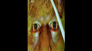 Wait For That | Scary Video Clip | Kanthari Telugu Movie #shortsyoutube