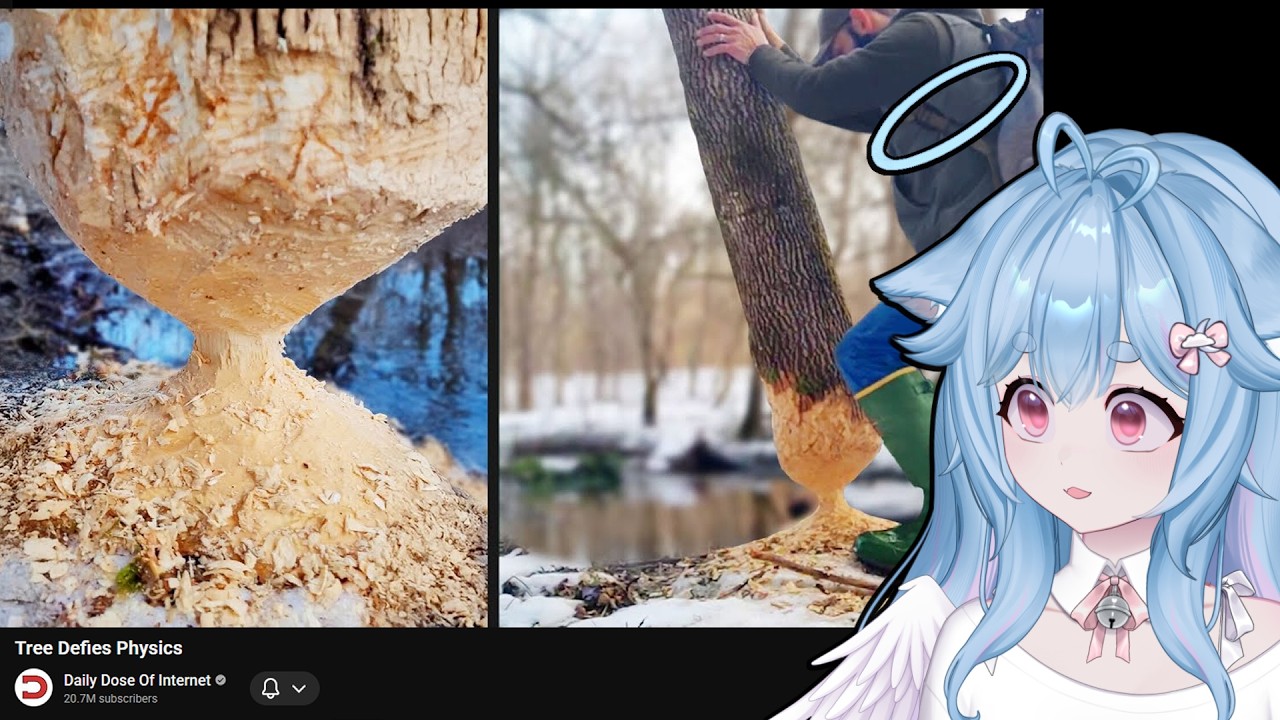 Tree Defies Physics & More | VTuber Comfy reacts to Daily Dose of Internet