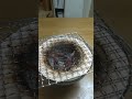 ホタルイカ一夜干し(素干し)を炙ってみました。
