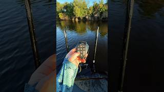 Lightest 10ft Shallow Water Anchor set up in the Bass industry! #PowerPoleONE | @J@JTKenneyFishing