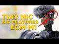 Sony ECM-M1 vs RODE NTG - THIS MIC IS INCREDIBLE!!!