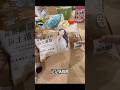 2歲女兒給的情緒價值