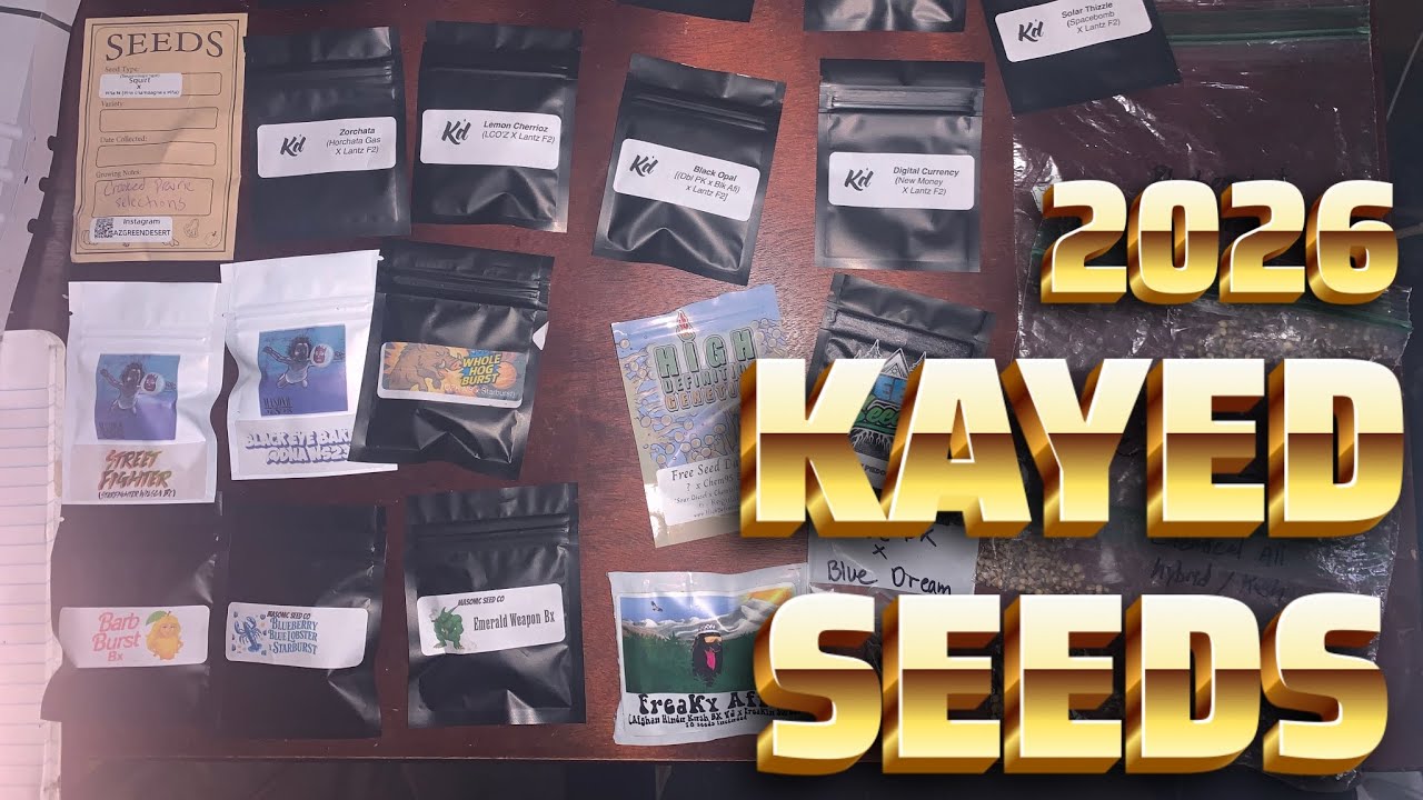 A Day In The Life Of A Seed Breeder