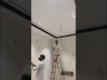 mahtab painter video