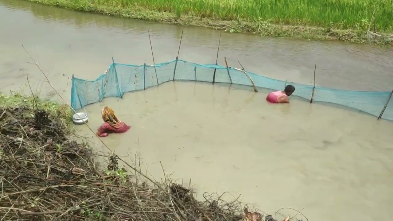 Hilly River Fishing 1.1