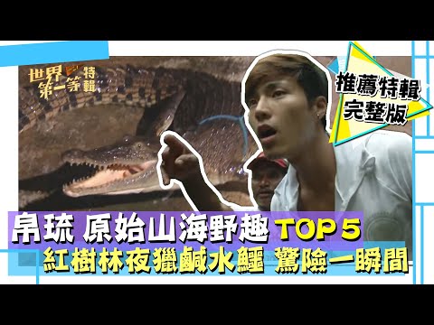 【帛琉 山海野趣】TOP4 百人原始小島 凱漾島／天然椰子油／紅樹林 夜獵鹹水鱷／鐵肺海獵人 水中屠龍｜《世界第一等》精選特輯70集