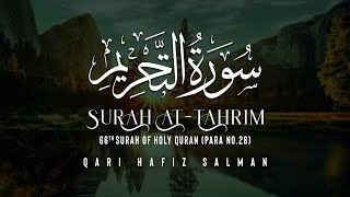 Surah At Tahrim I Qari Hafiz Salman | Arabic Recitation | 66th Surah of the Quran