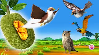 कटहल में छिपी जहरीली चिड़िया का बच्चा Kathal Mey Chhupee Jahrili Chidiya Bird Hiding in Jackfruit