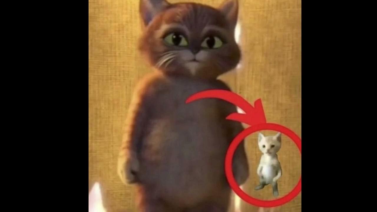 xaviersobased type beat - YouTube