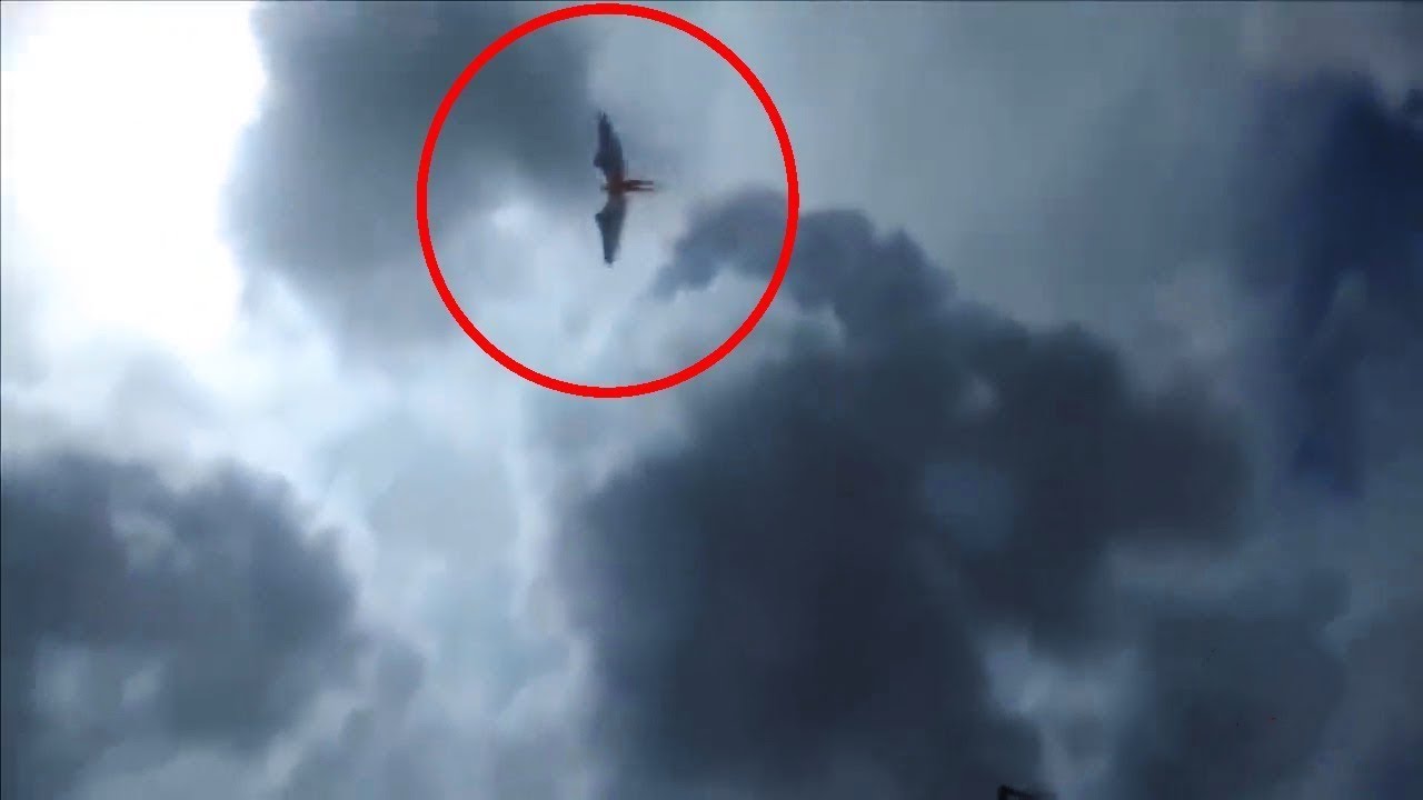 Some angels caught on camera. - YouTube