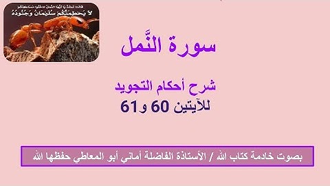 سورة النمل : شرح أحكام التجويد للآيتين 60 و61