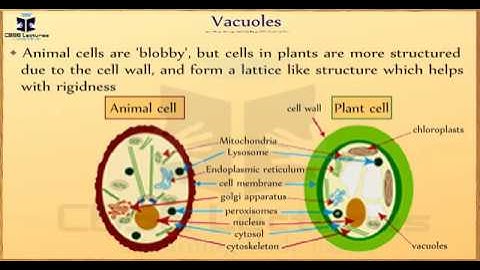 Cell Structure and Function Class 8 Science CBSE Lectures
