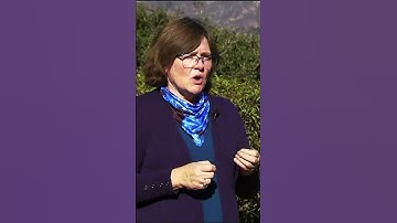 She Heard Earthquakes Coming Early