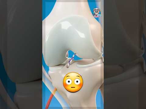 كيف يتم علاج تمزق الرباط الصليبي