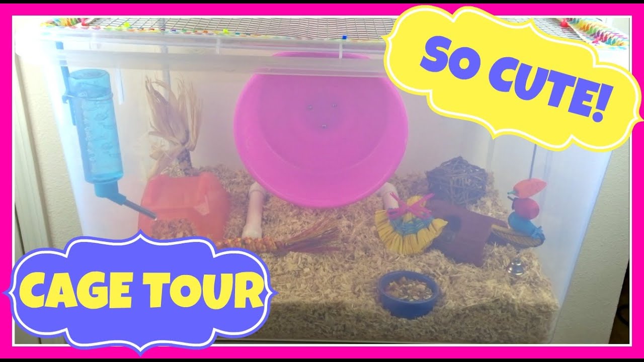 petco hours MATILDA'S AUGUST 2016 CAGE TOUR