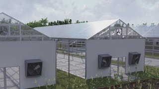 Small urban farm growing into local farmer's market