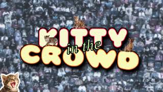Echo Finder Full Version - Kitty In The Crowd Soundtrack