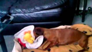 VID 00002 20110227 1430