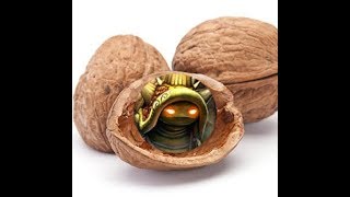 Rammus In A Nutshell