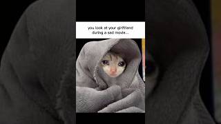 🎛️ Music made by me #meme #gf #love #relationship #bf