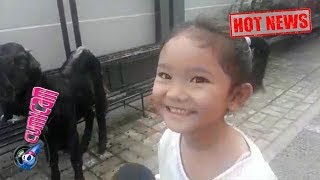 Hot News! Berani Sentuh Hewan Kurban, Begini Tingkah Gemas Bilqis - Cumicam 22 Agustus 2018