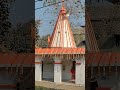 ## My village's temple ##